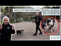 HOW TO FIX YOUR DOG S FOOD AGGRESSION DOG TIPS