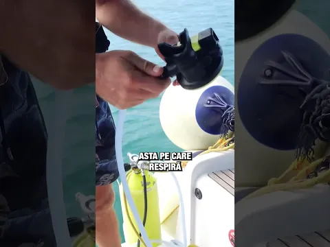 Așa se curăță barca pe burtă