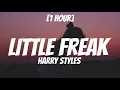 Download Lagu Harry Styles - Little Freak [1 Hour]