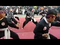 Download Lagu Atraksi Gerakan Silat PS Cempaka Putih di Parade Silat Dharmasraya