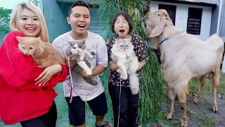 Download KENALIN PAM PAM, BOO DAN CIKU KUCING KE KAMBING QURBAN!! GAK NYANGKA REAKSINYA GINI!! MP3