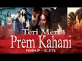 Lagu TERI MERI PREM KAHANI MASHUP | DJ JITS | TERI MERI | TERI KHAIR MANGDI | SONIYE HIRIYE | LOVE 💕