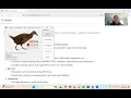 No Code AI - WEKA Run Machine Learning Models with Just a Spreadsheet
