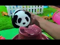 Surprise Box / Unboxing Concept | Rainbow Cute Chooza