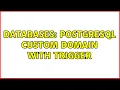 Databases PostgreSQL custom domain with trigger