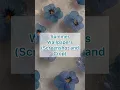 Summer Wallpapers
