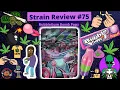 Strain Review BubbleGum Bomb Popz