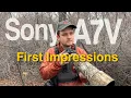 Lagu Sony A7V First Impressions For Filming Birds and Wildlife