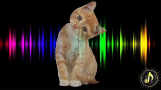 Cat Meow Sound Effect Attract Cats Sounds Cats Love 