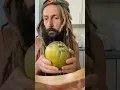 Comparing Mango Kent with Keitt