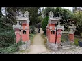 Download Lagu Achter de schermen bij de Taman: Daanje de Kaketoe \u0026 Joep de Edelpapegaai