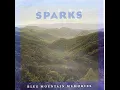 Last Day At Gettysburg - Larry Sparks