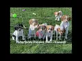 Ruby/Teddy Pups 2023 -  6 weeks