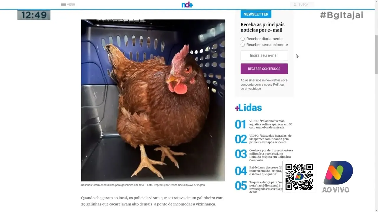 Galinhas são detidas pela Polícia, e a cobertura de 400m de Cristiano Ronaldo de frente pro mar