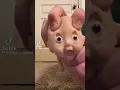 Download Lagu IM AN EAGLE 🦅🦅🇺🇸🇺🇸🔥🔥🔥 daily tiktoks bubbly.._..babies #tikrokviral #tiktok #dailymemes #memes #funny