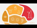 The AD Circuit Why focus organization and follow-through break down