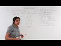 Class 12th - One One Onto Function Relation and Functions Tutorials Point