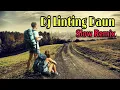 Download Lagu Dj Terbaru 2022 // Dj Linting Daun-Bondan Prakoso