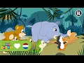 Download Lagu DE DIEREN UIT DE DIERENTUIN | Dierendag | Kinderliedjes | Minidisco