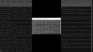Testing java maven failsafe cucumber junit5 sieve segment cli