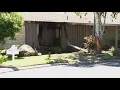 CHP pursuit ends with deadly crash into Modesto home