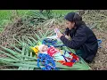 Download Lagu Hoe zal het huis van Ly Thi Yen eruit zien?