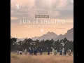 Sun Is Shining (Dave Winnel Remix)