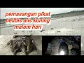 Download Lagu Pemasangan pikat belibis alis kuning malam hari#cara memasang pikat belibis#suara pikat belibis