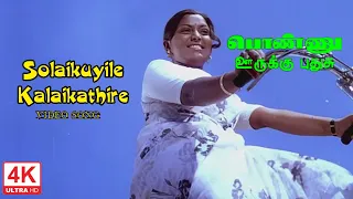 solaikuyile kalaikathire song hd ponnu oorukku pudhusu tamil movie songs 4ktamil