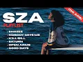 Best of SZA Playlist 2025 (No Ads) – Relaxing R\u0026B Music for Sleep \u0026 Study 🌙