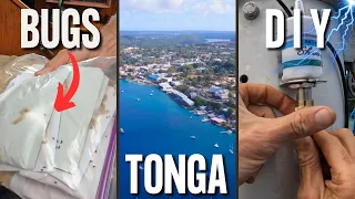 Bug Infestation On Our Boat!!  /  Mast DIY /  Kingdom Of Tonga  Ep 138