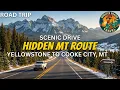 This Yellowstone Road Is a Hidden Gem But Don t Get Caught Off Guard