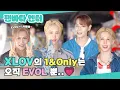Download Lagu (SUB) | XLOV의 1\u0026Only는 오직 EVOL 뿐...💗 | 엑스러브 인터뷰(ENG/JPN/CN/IDN/SPA)