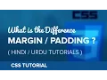 Understanding Difference Between Margin and Padding in CSS Hindi Urdu Tutorial