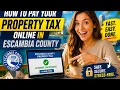How to pay your property tax online in Escambia County