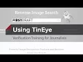 Reverse Image Search With TinEye