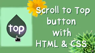 Scroll to Top Button for Website Design using HTML and CSS - no JavaScript