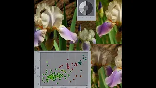 1st Project about Iris Dataset