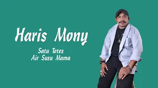 satu tetes air susu mama cover haris mony