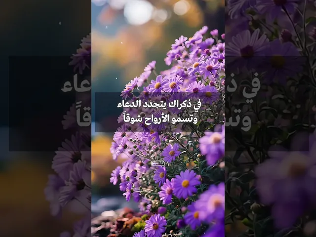 ⁣صباح الخير يا صاحب الزمان✨ #صباح_الخير  #يوم_الجمعة   #شهر_شعبان #١٥شعبان_ولادة_الامام_المهدي_عج
