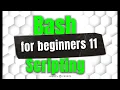 Reading User Input In Bash Bash Scripting For Beginners 11