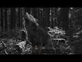 Yuston XIII - La forêt du loup (Paroles)