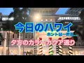 Lagu 【今日のハワイ】Hawaii Today カラーカウア通りをウロウロ#ハワイ 2025年12月18日