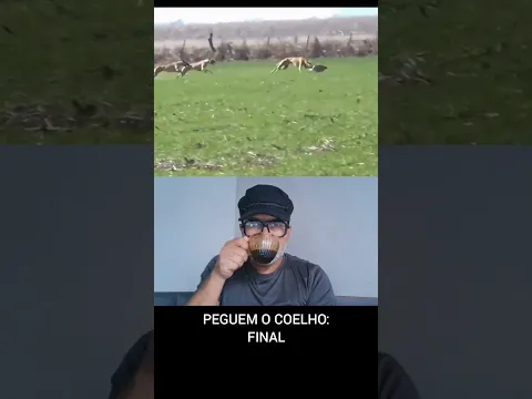 PEGUEM O COELHO - FINAL