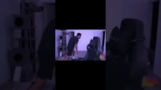Low Tier God s cat pulls up and catches the fade