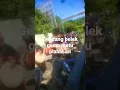 Download Lagu gendng belek gema metu plabasari tampil di rumah sendiri