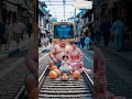 Download Lagu ❤️ evolution of baby: train Attack on Sumo wrestler with family #cat #cute #love #shorts awsu877