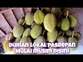 Lagu DURIAN LOKAL MULAI MUSIM DI PASAR BUAH PASREPAN ADA ALPUKAT NANGKA MANGGA PETE DAN JENGKOL DISINI