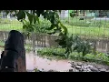 Download Lagu Suara Hujan dan Petir di Desa. Untuk Tidur, relaksasi.