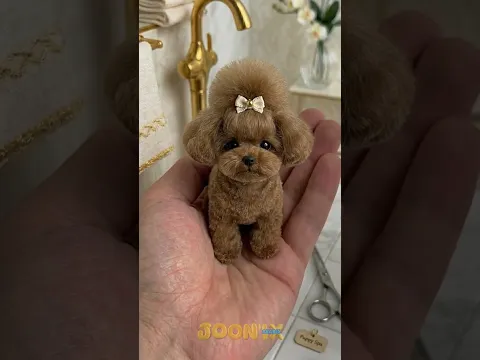 مغامرة استرخائية مع جراء لطيفة! ✨🐶